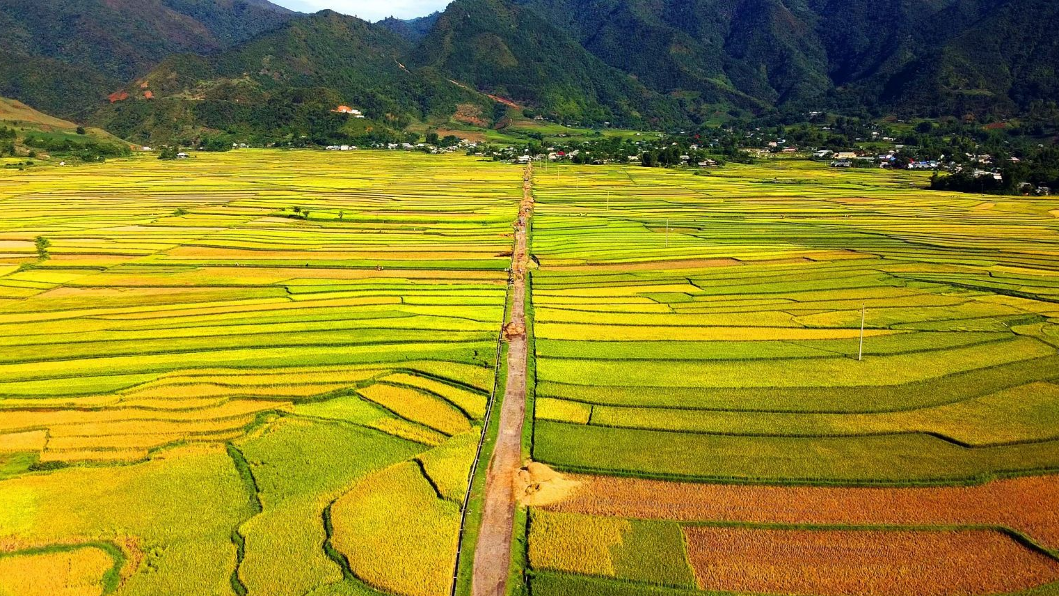 Phát triển ngành "công nghiệp không khói" nơi miền " đất gió" - Ảnh 1. Phát triển ngành "công nghiệp không khói" nơi miền " đất gió" - Ảnh 1.