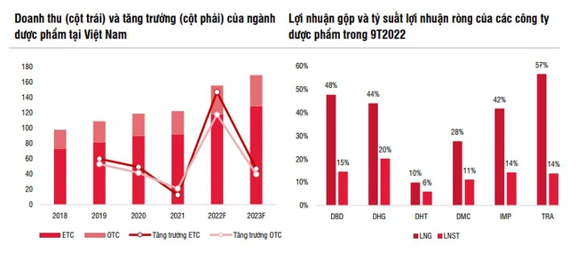 Một năm đầy biến động nhưng ngành Dược vẫn tăng trưởng mạnh mẽ, năm 2023 thì sao? - Ảnh 3.