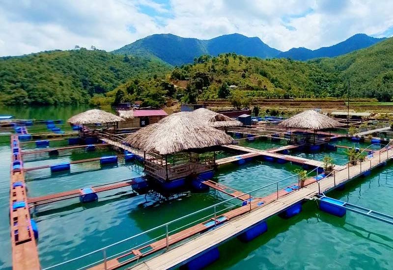Phát triển ngành "công nghiệp không khói" nơi miền " đất gió" - Ảnh 3. Phát triển ngành "công nghiệp không khói" nơi miền " đất gió" - Ảnh 3.