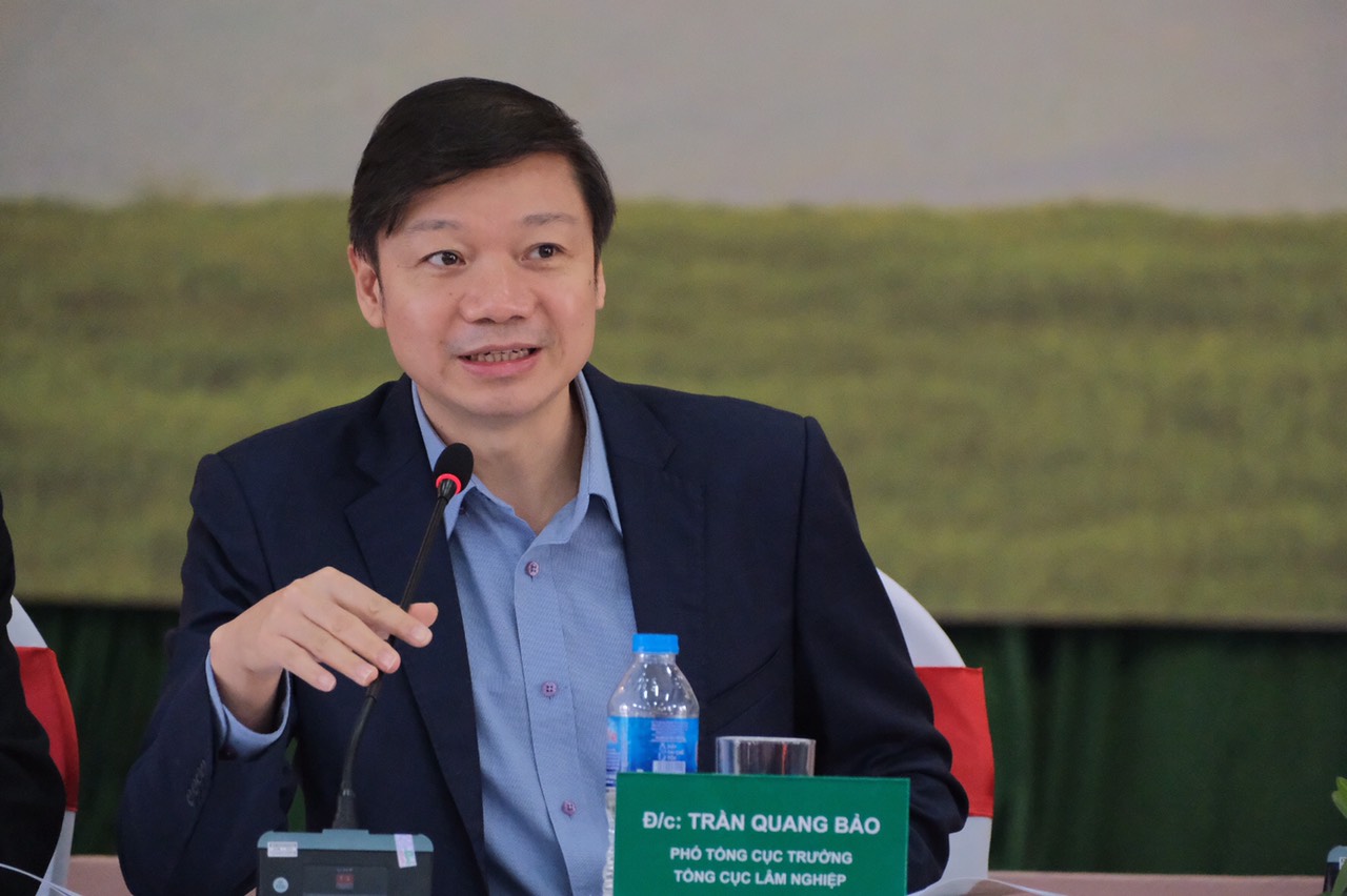 Tín chỉ hóa để bán hàng triệu tấn tín chỉ các bon rừng - Ảnh 1.
