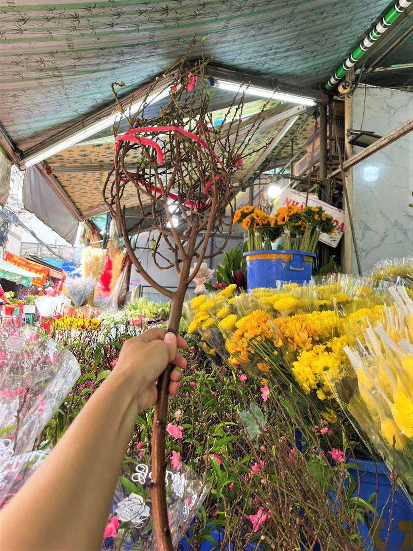 Người dân TP.HCM bắt đầu mua đào phía Bắc về đón Tết sớm - Ảnh 6.
