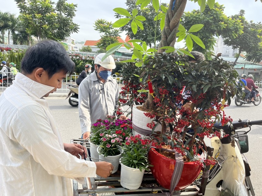 Người dân TP.HCM bắt đầu mua đào phía Bắc về đón Tết sớm - Ảnh 1.