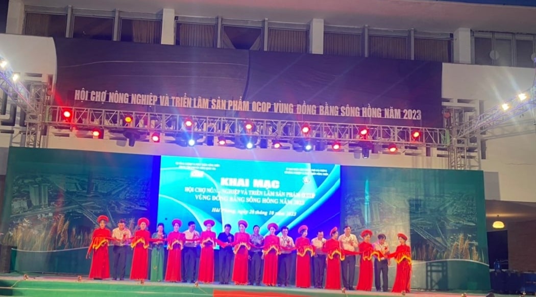 Hải Phòng: Khai mạc hội chợ nông nghiệp và triển lãm sản phẩm OCOP vùng Đồng bằng sồng Hồng - Ảnh 3.