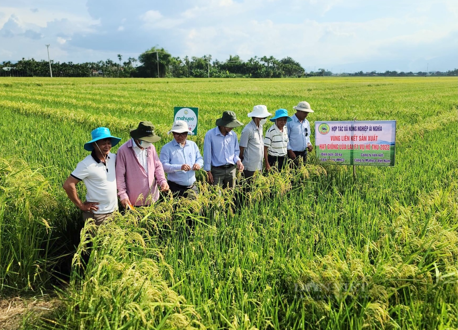 Phát triển HTX như một thể chế thiết yếu ở nông thôn - Ảnh 2.