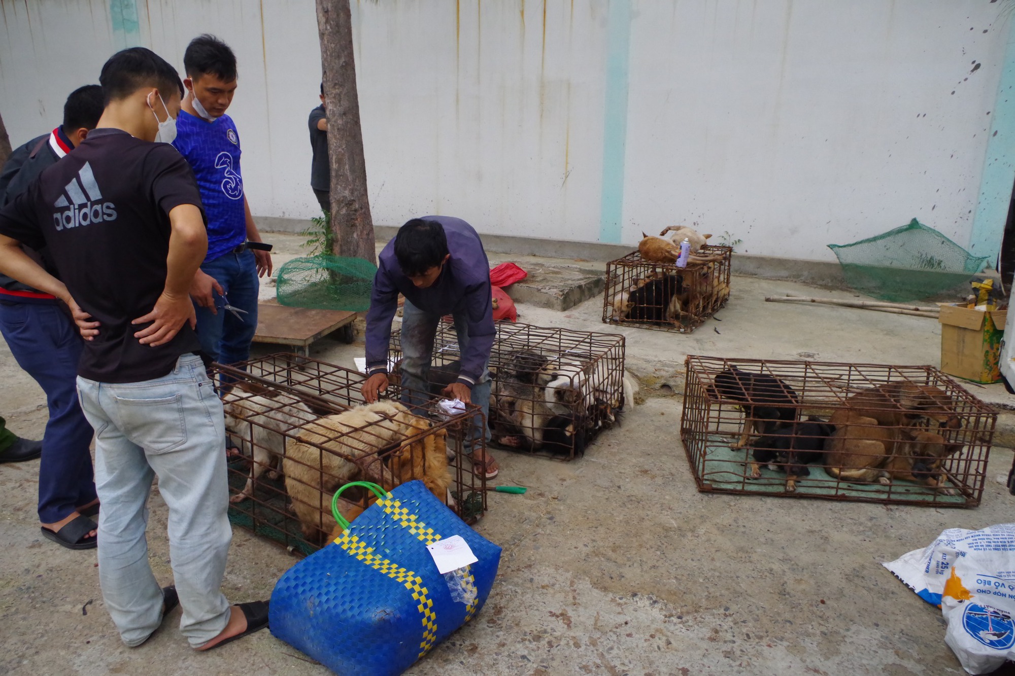 Bắt nhóm đối tượng trộm chó và ông chủ chuyên thu mua chó trộm - Ảnh 1.