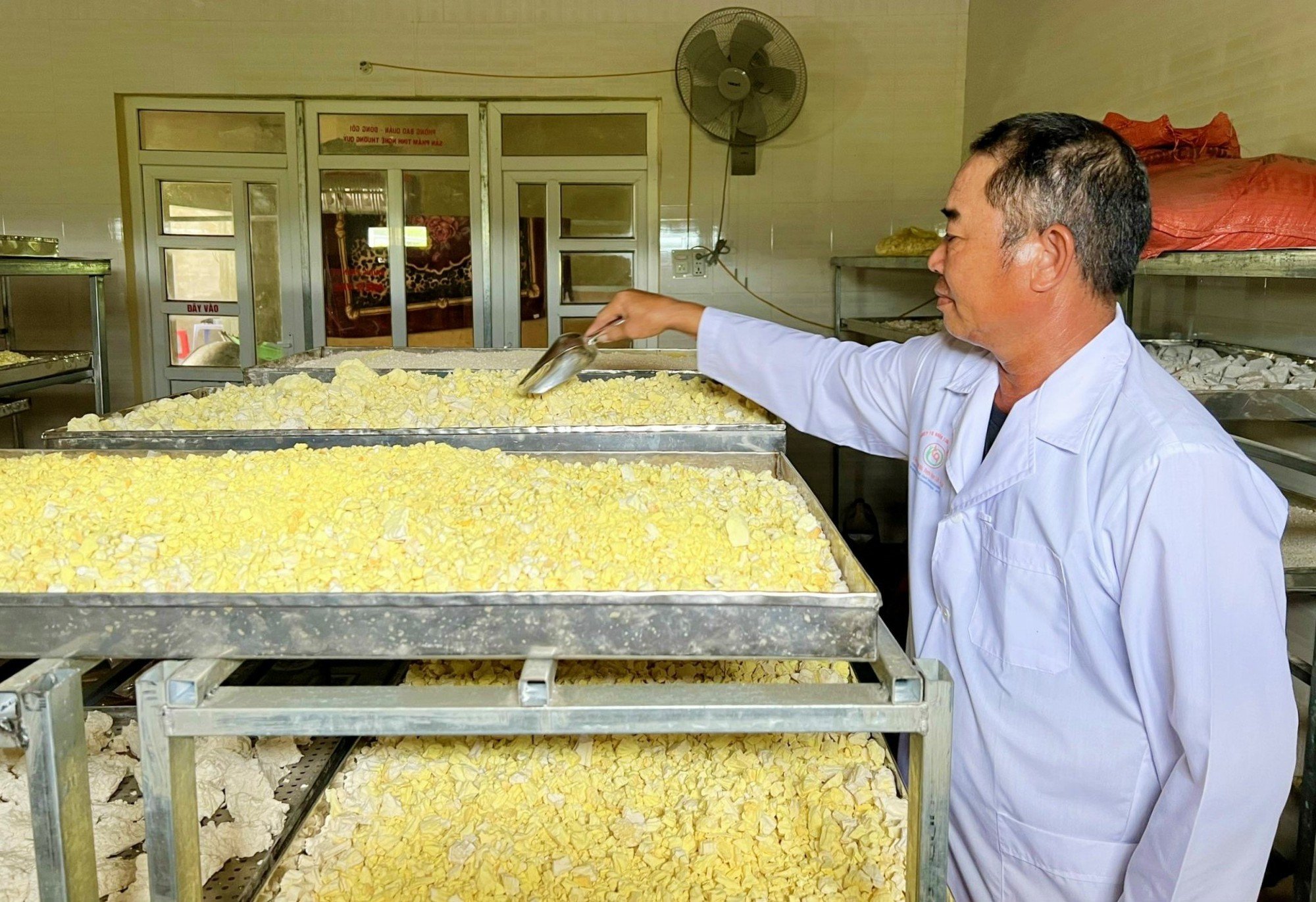 Chế biến tinh bột nghệ giúp lão nông mỗi năm lãi ròng 300 triệu đồng nhờ sản phẩm OCOP 3 sao - Ảnh 3.