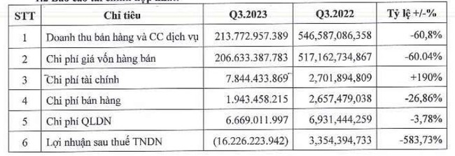 Nhựa Đông Á (DAG): &quot;Hứng trọn combo&quot; lỗ ròng, cổ phiếu vào diện kiểm soát - Ảnh 1.