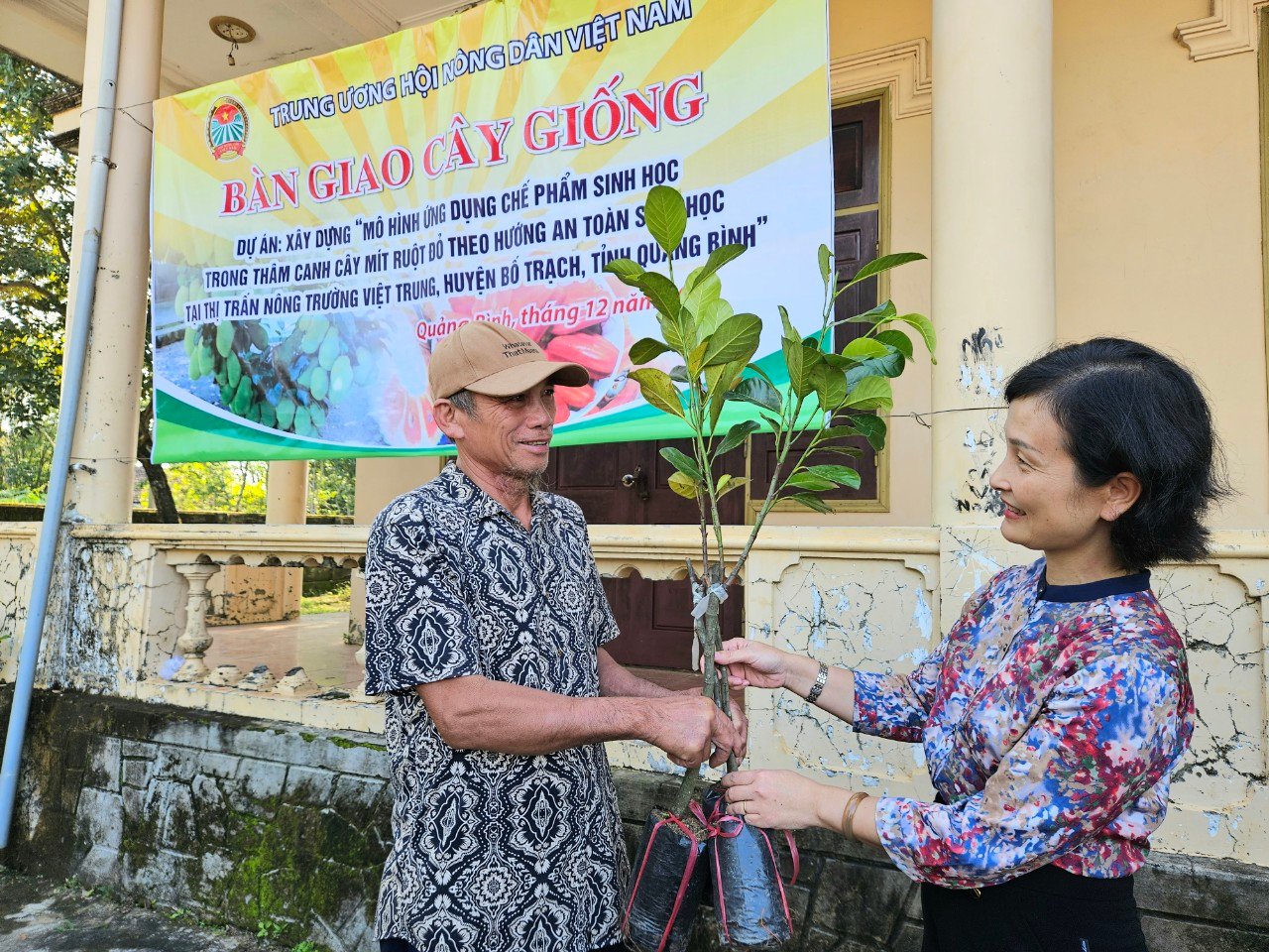 Thâm canh mít ruột đỏ an toàn sinh học, mong sớm “đổi vận” - Ảnh 3.