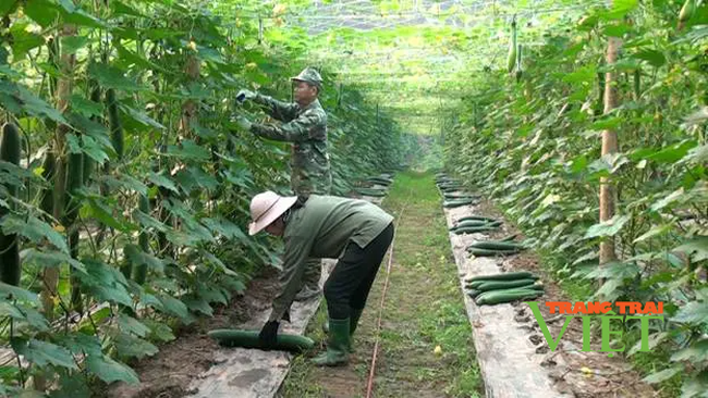 Được đào tạo nghề, nông dân Điện Biên Đông có &quot;cần câu cơm&quot;   - Ảnh 1.