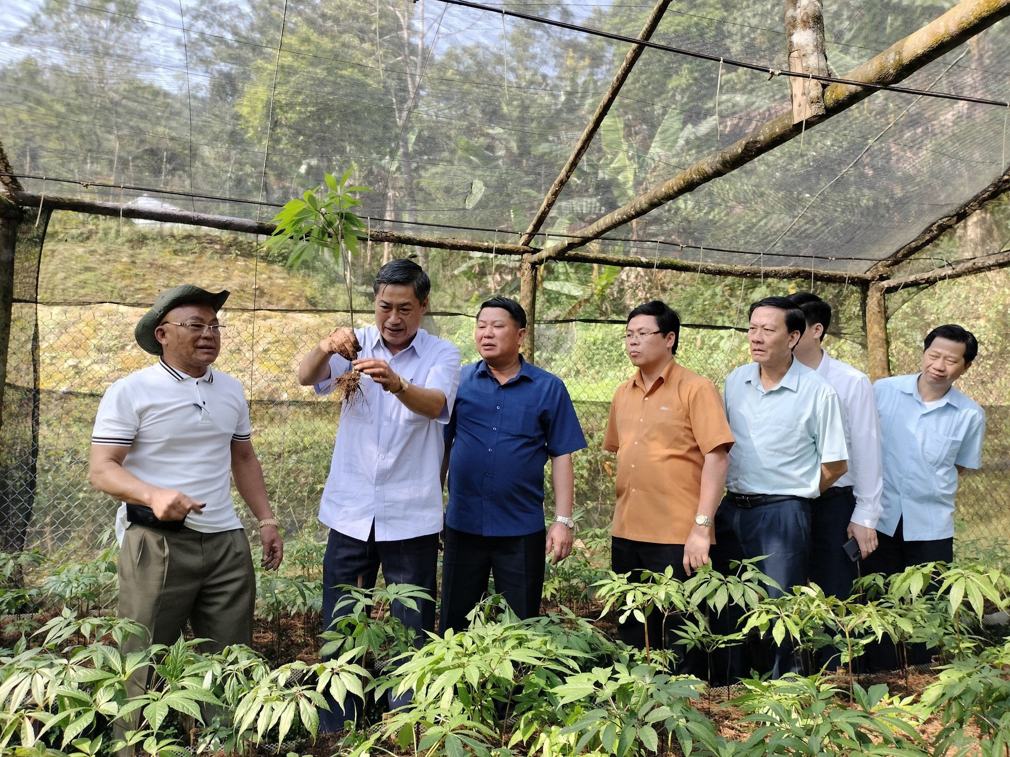  Gala "Sâm Ngọc Linh trên đất Sơn La - Từ Quốc bảo trở thành sinh kế"- Ảnh 1.