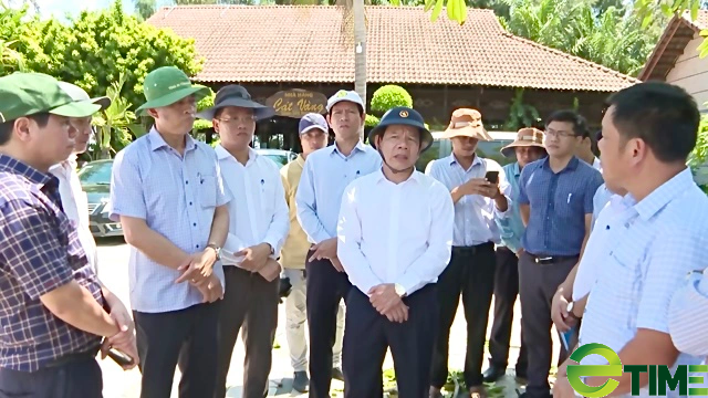 Quảng Ngãi: “Lệnh” thu hồi gần 3.170m2 đất được thuê bị vi phạm của Công ty Cổ phần Du lịch - Ảnh 6. Quảng Ngãi: “Lệnh” thu hồi gần 3.170m2 đất được thuê bị vi phạm của Công ty Cổ phần Du lịch - Ảnh 6.