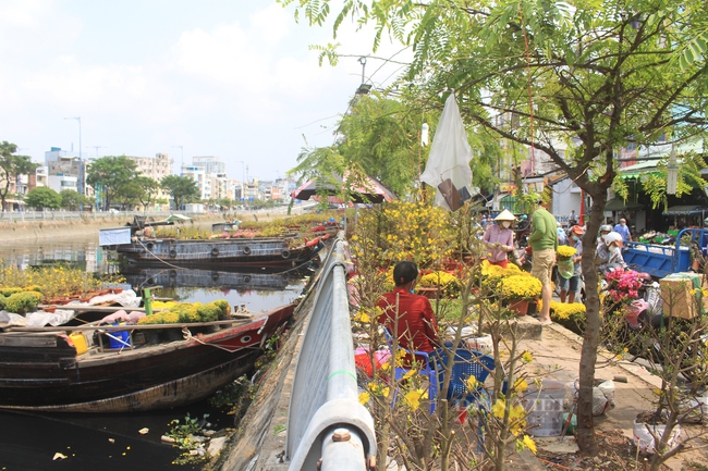 TP.HCM sẽ mua hoa Tết bán không hết của tiểu thương như thế nào? - Ảnh 3.