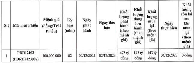 Phát Đạt (PDR) dự kiến huy động hơn 1.300 tỷ đồng bằng cổ phiếu với giá thấp hơn thị trường - Ảnh 2.