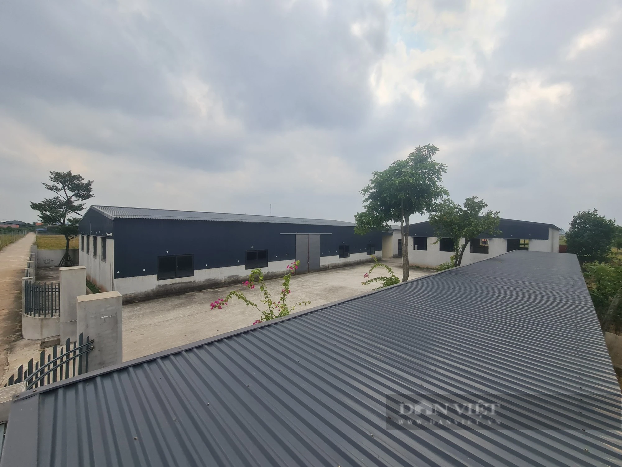 Quá trình xây dựng nhà xưởng trái phép hàng nghìn m2 giữa cánh đồng ở Thái Bình diễn ra thế nào? - Ảnh 3.
