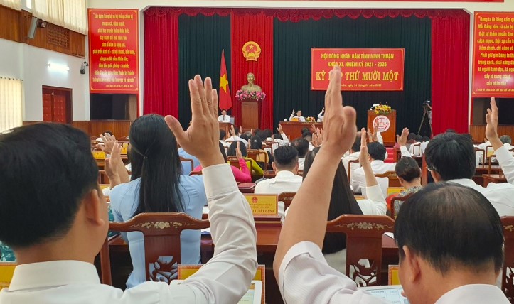 Sắp đầu tư đường kết nối cảng tổng hợp Cà Ná ở Ninh Thuận với các tỉnh Nam Tây Nguyên - Ảnh 4.