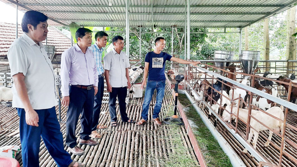 Nhiều mô hình hay ra đời từ nguồn vốn Quỹ HTND - Ảnh 1.