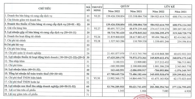 Cảng Đình Vũ (DVP) đặt mục tiêu lợi nhuận &quot;đi lùi&quot; trong quý I/2023 - Ảnh 1.