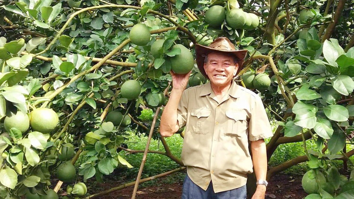 Cựu binh kiên cường làm giàu ở chiến khu D - Ảnh 1.