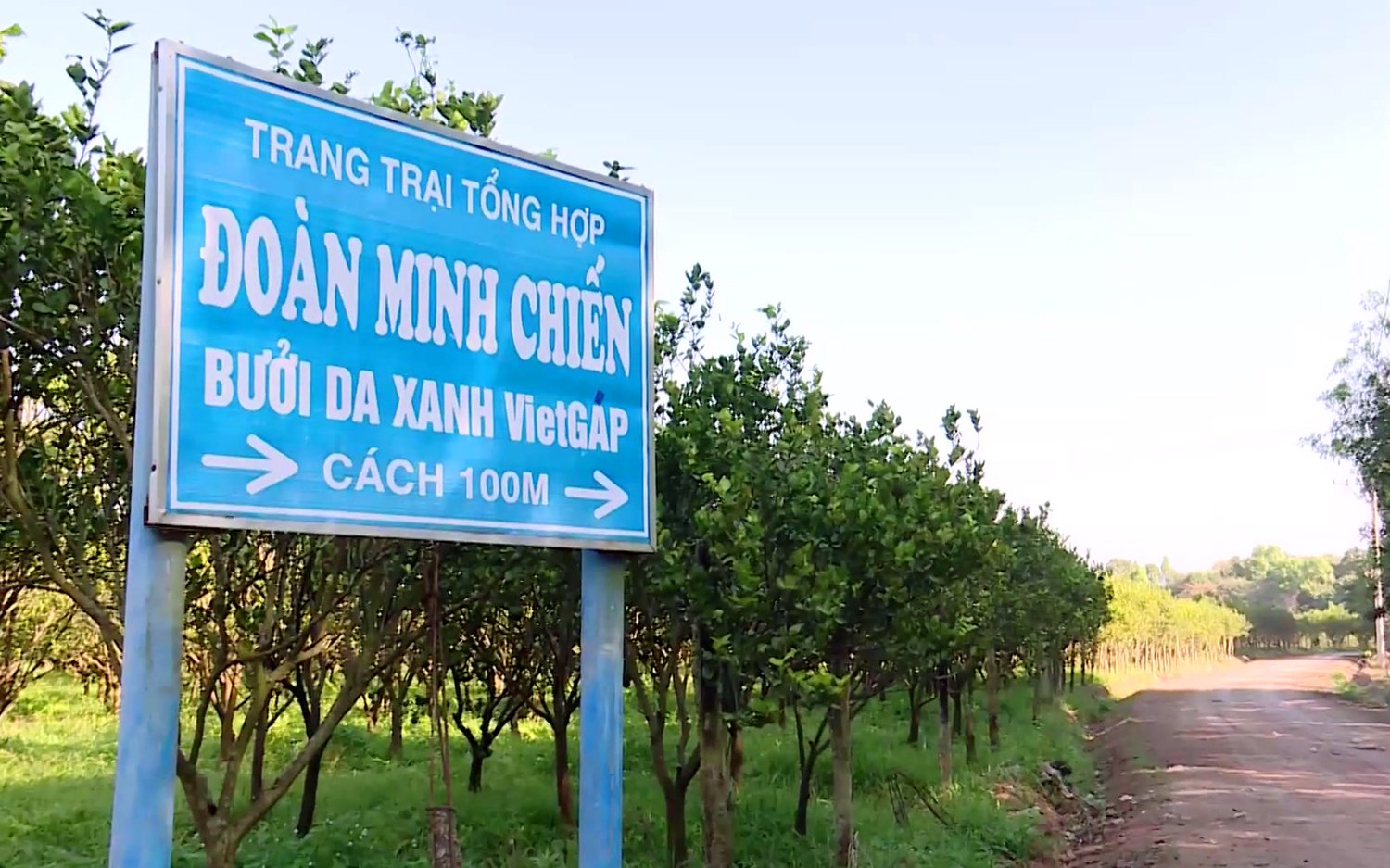 Cựu binh kiên cường làm giàu ở chiến khu D - Ảnh 3.