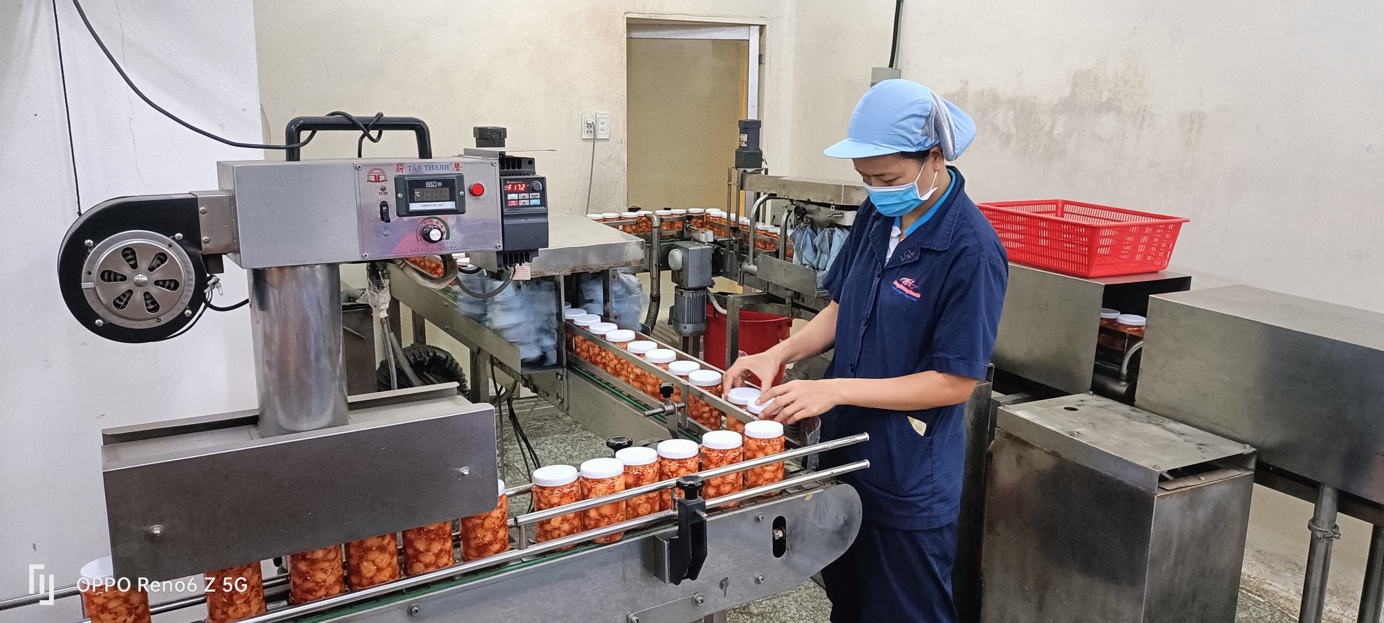 Doanh nghiệp phấn hởi với những đơn hàng xuất khẩu đầu Xuân - Ảnh 5.