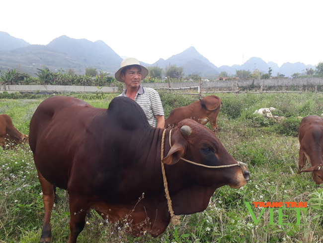 Nông dân Lai Châu chung sức xây dựng nông thôn mới - Ảnh 3.