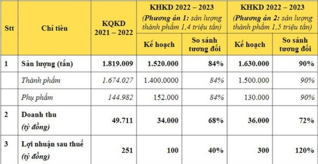 Ngay sau 2 quý lỗ liên tiếp, Hoa Sen (HSG) đặt mục tiêu lợi nhuận 2023 giảm tới 60% - Ảnh 1.