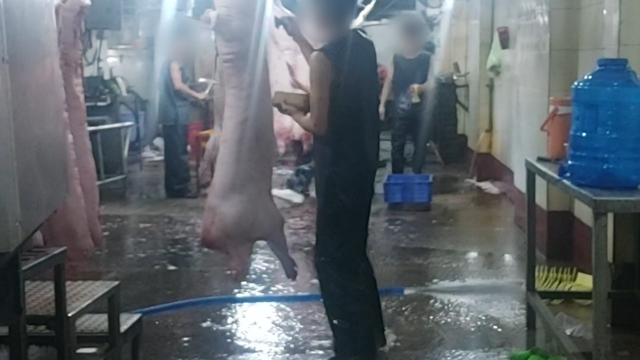 Long An: Phó chủ tịch UBND tỉnh chỉ đạo kiểm tra, xử lý cơ sở giết mổ động vật nếu có vi phạm - Ảnh 2.
