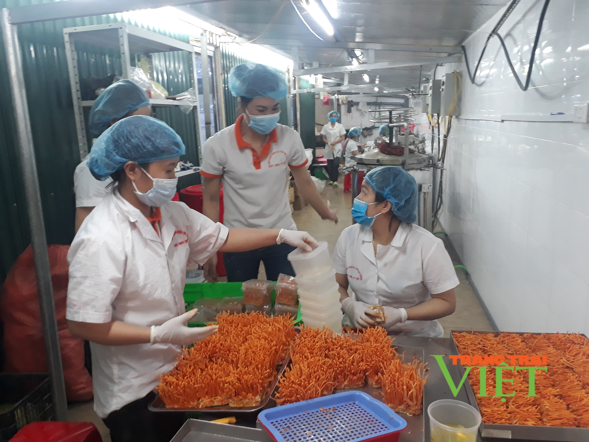 Thành phố Lai Châu làm gì để nâng cao giá trị trên một đơn vị diện tích? - Ảnh 1. Thành phố Lai Châu làm gì để nâng cao giá trị trên một đơn vị diện tích? - Ảnh 1.