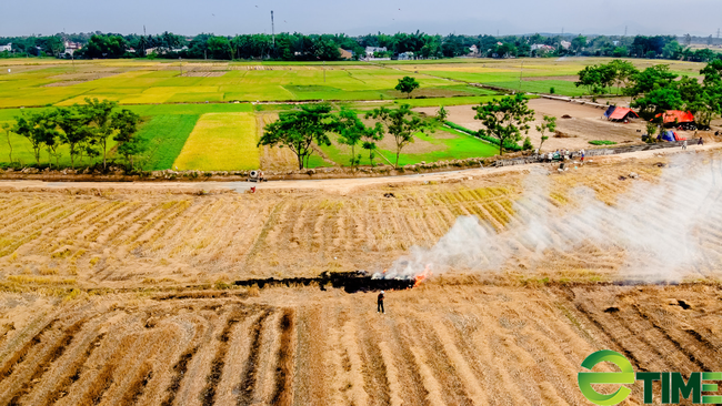 Đà Nẵng giảm tiền thuê đất, thuê mặt nước cho các cá nhân, tổ chức bị ảnh hưởng bởi dịch Covid-19 - Ảnh 1.