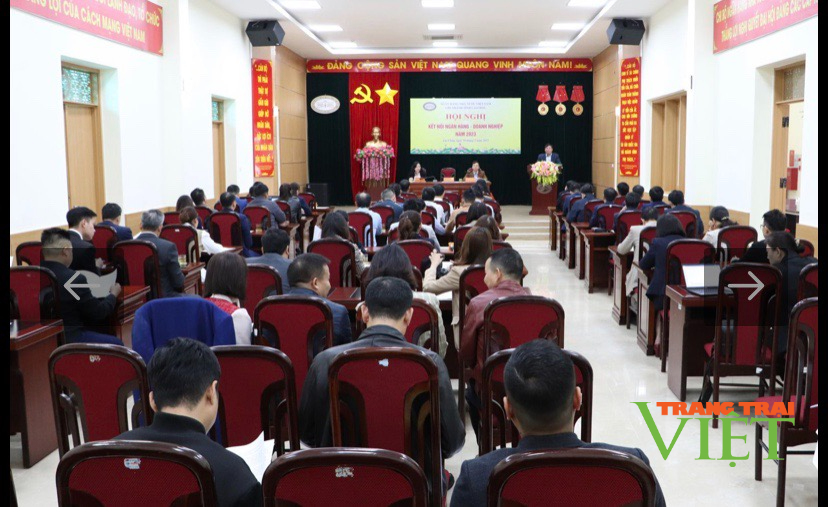 Lai Châu: Hội nghị kết nối ngân hàng - doanh nghiệp năm 2023 - Ảnh 1. Lai Châu: Hội nghị kết nối ngân hàng - doanh nghiệp năm 2023 - Ảnh 1.