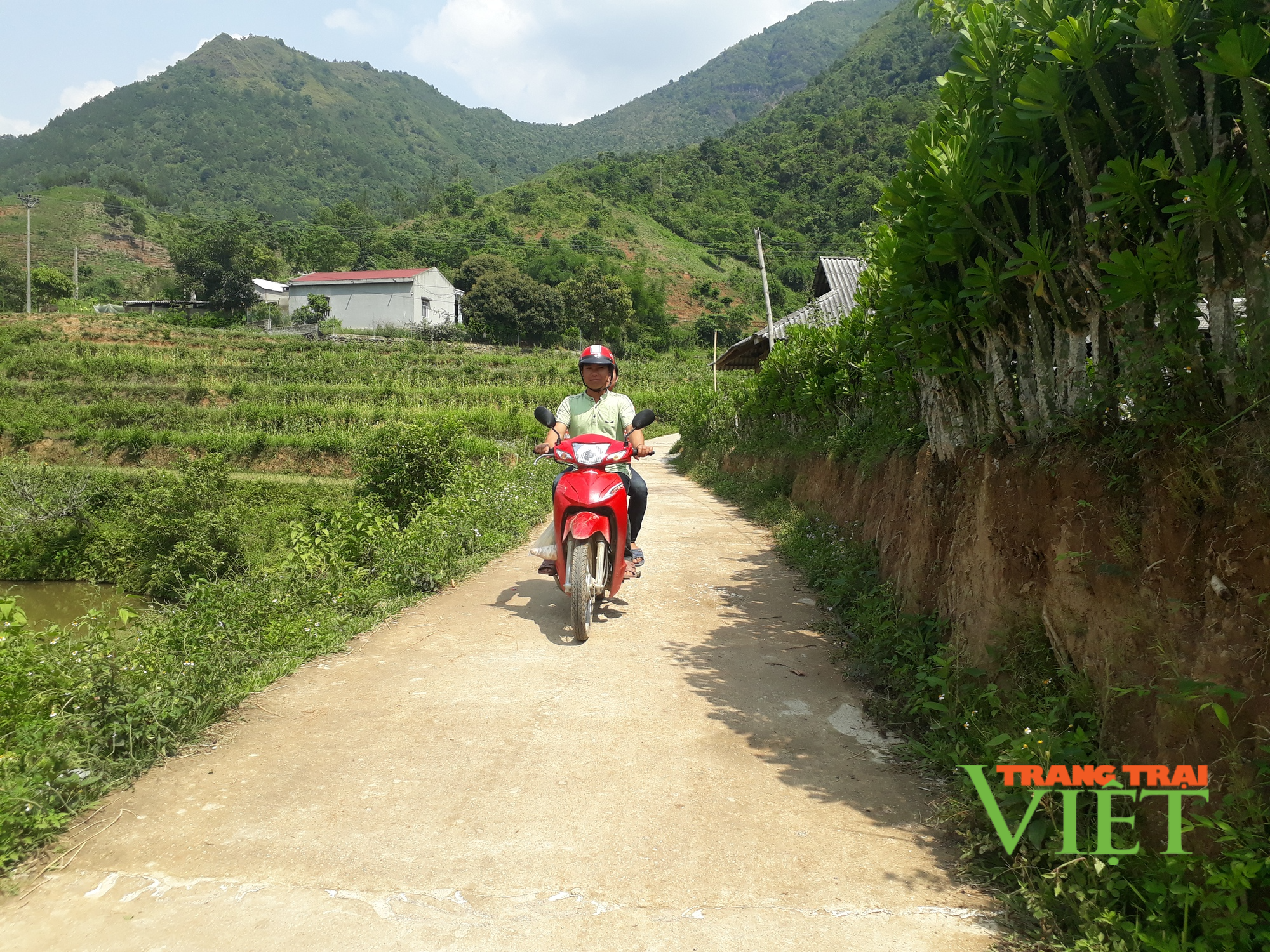 Người dân xã Trung Đồng góp sức, hiến đất làm đường giao thông - Ảnh 1. Người dân xã Trung Đồng góp sức, hiến đất làm đường giao thông - Ảnh 1.