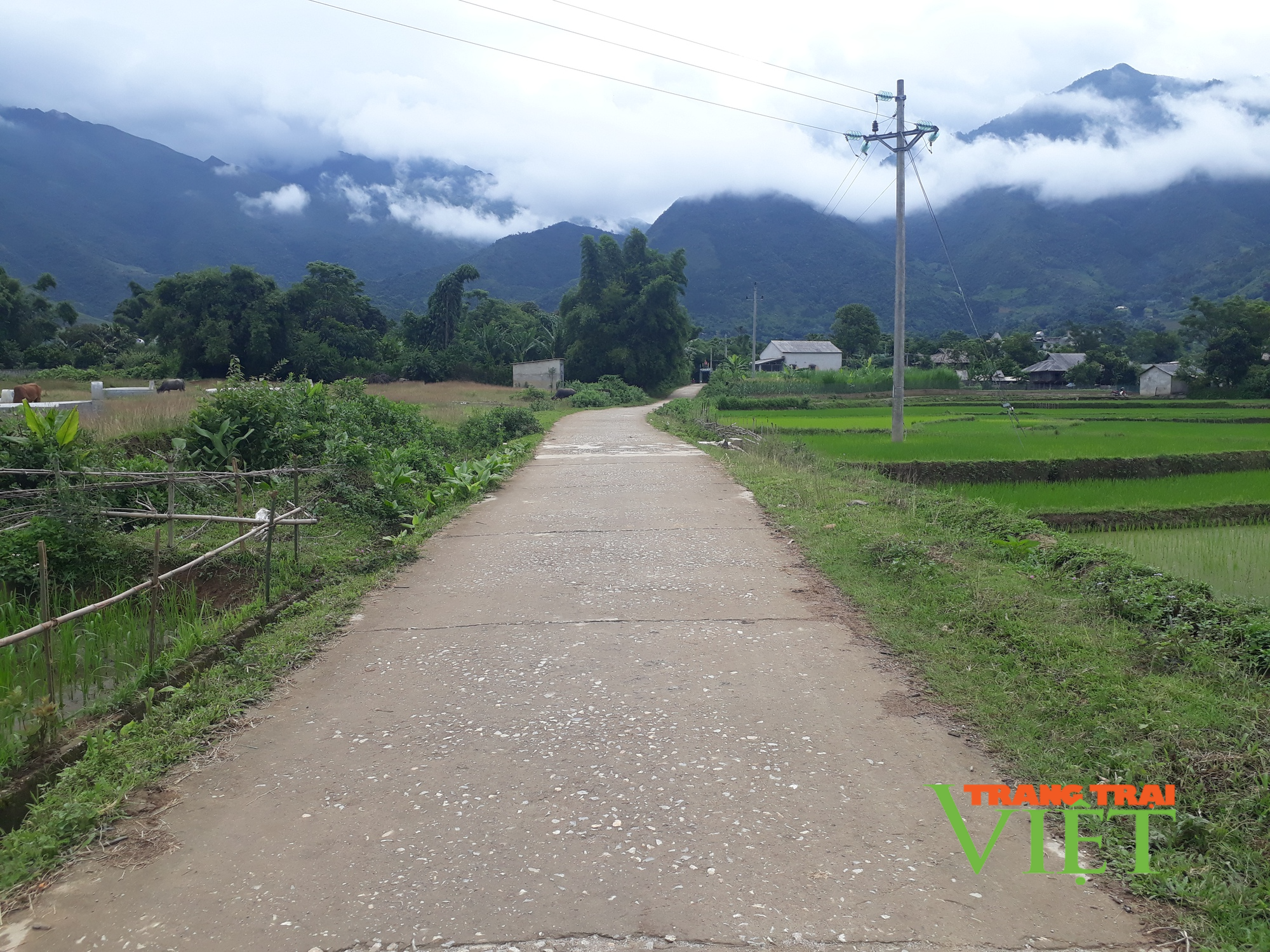 Người dân xã Trung Đồng góp sức, hiến đất làm đường giao thông - Ảnh 3. Người dân xã Trung Đồng góp sức, hiến đất làm đường giao thông - Ảnh 3.