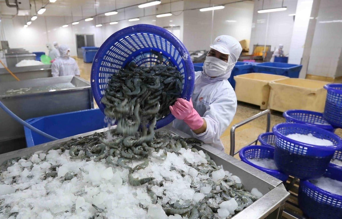 Thủy sản Việt Nam tìm thêm những điểm đến “sáng cửa” - Ảnh 1.