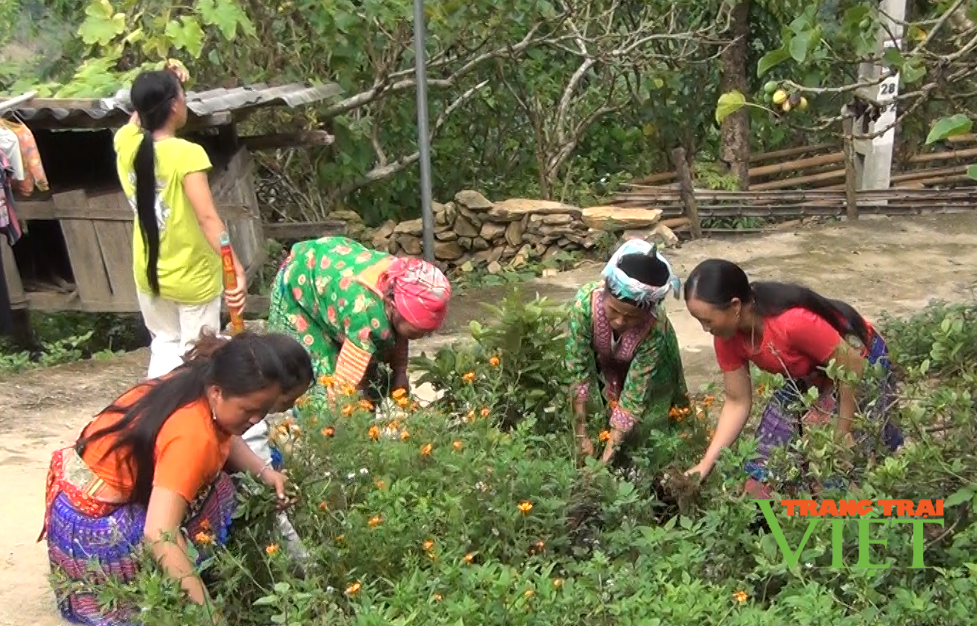 Nậm Manh vượt khó xây dựng nông thôn mới - Ảnh 3. Nậm Manh vượt khó xây dựng nông thôn mới - Ảnh 3.