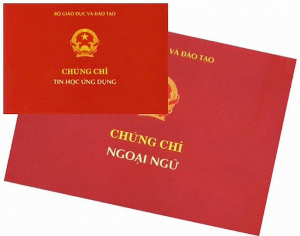 Bến Tre: 49 cán bộ, nhân viên y tế sử dụng bằng giả lãnh án - Ảnh 1.