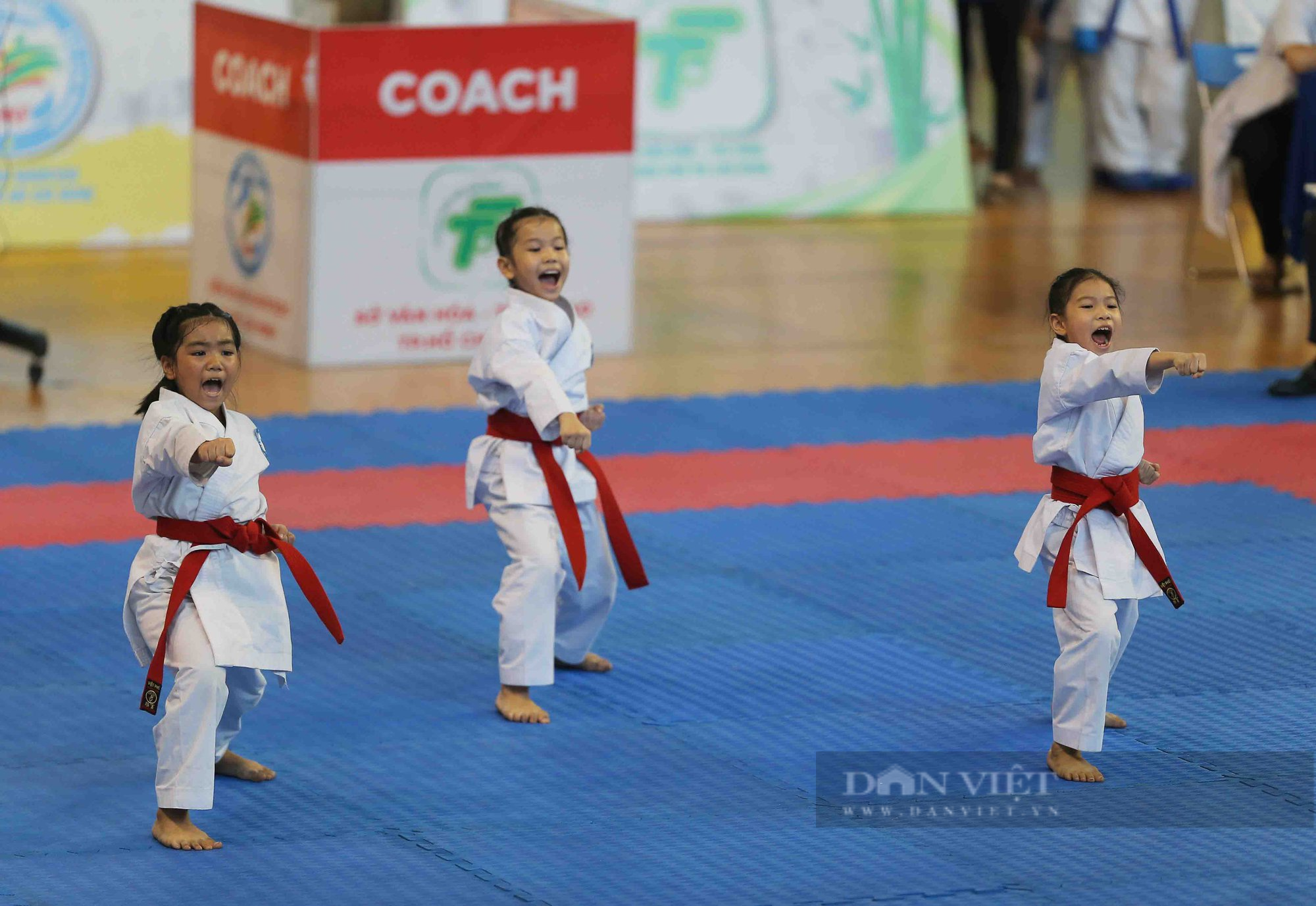 Ấn tượng những màn trình diễn siêu cute của các võ sĩ karate nhí - Ảnh 15.