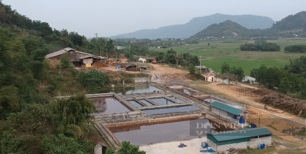 Tỉnh Hòa Bình có bất lực trước vi phạm của nhà máy giấy Thuận Phát? - Ảnh 3.