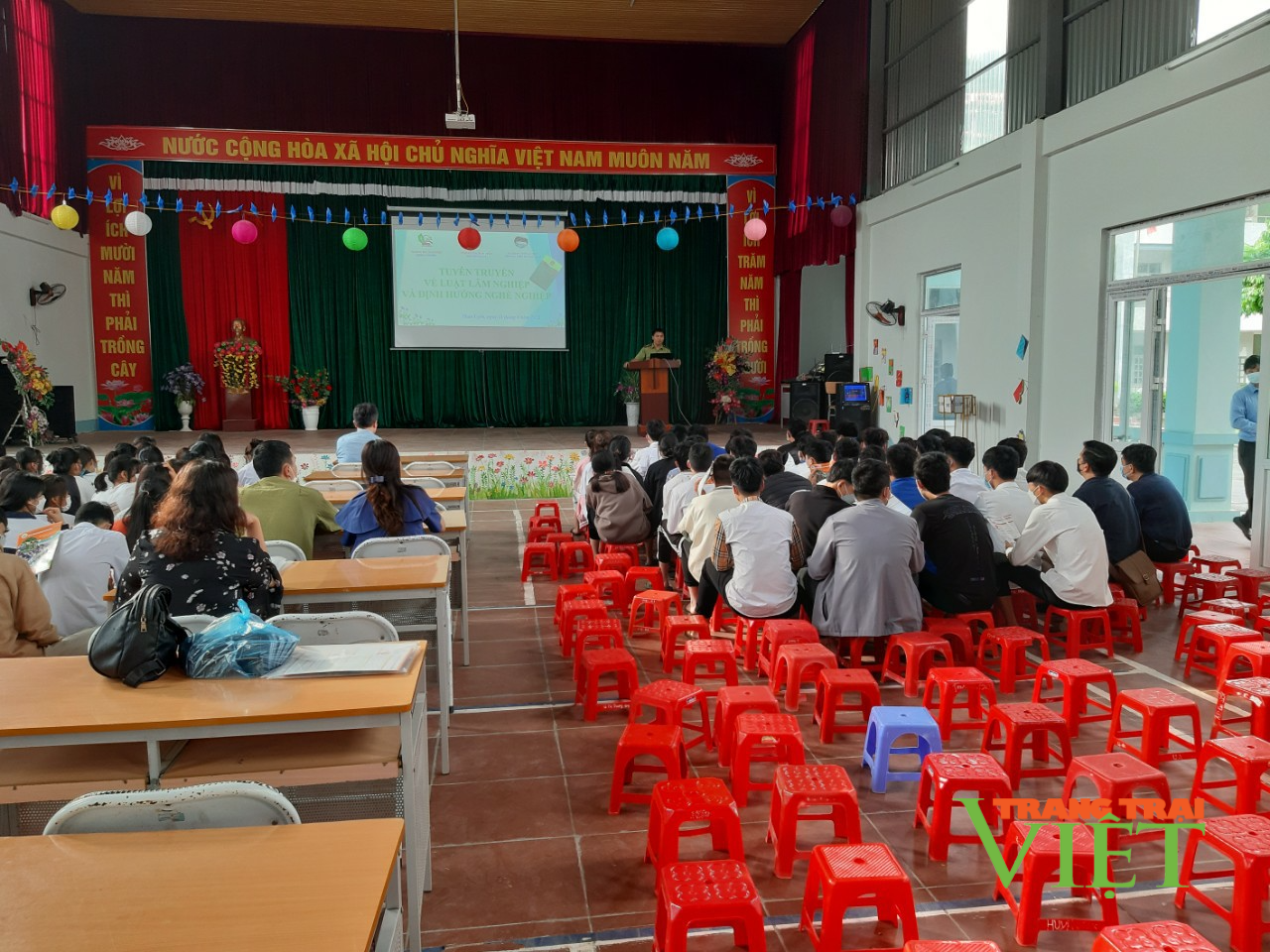 Than Uyên bảo vệ vốn rừng - Ảnh 1. Than Uyên bảo vệ vốn rừng - Ảnh 1.