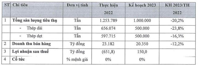 Đầu tư Thương mại SMC: lên kế hoạch lợi nhuận có lãi quay trở lại, không trả cổ tức 2022 - Ảnh 1.