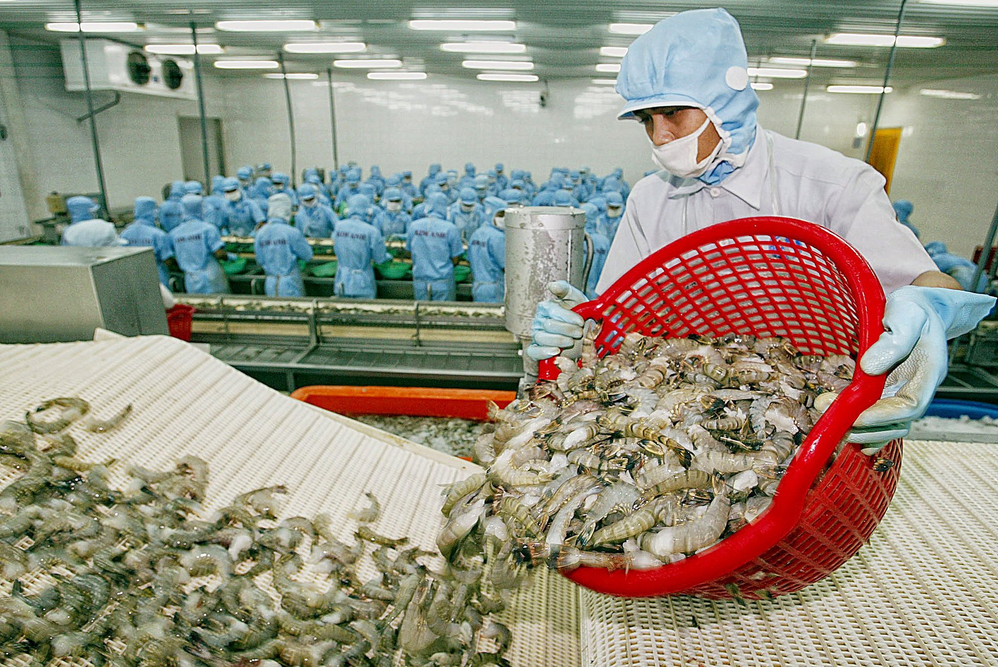 Đột phá đầu tư phát triển giống thủy sản - Ảnh 3.