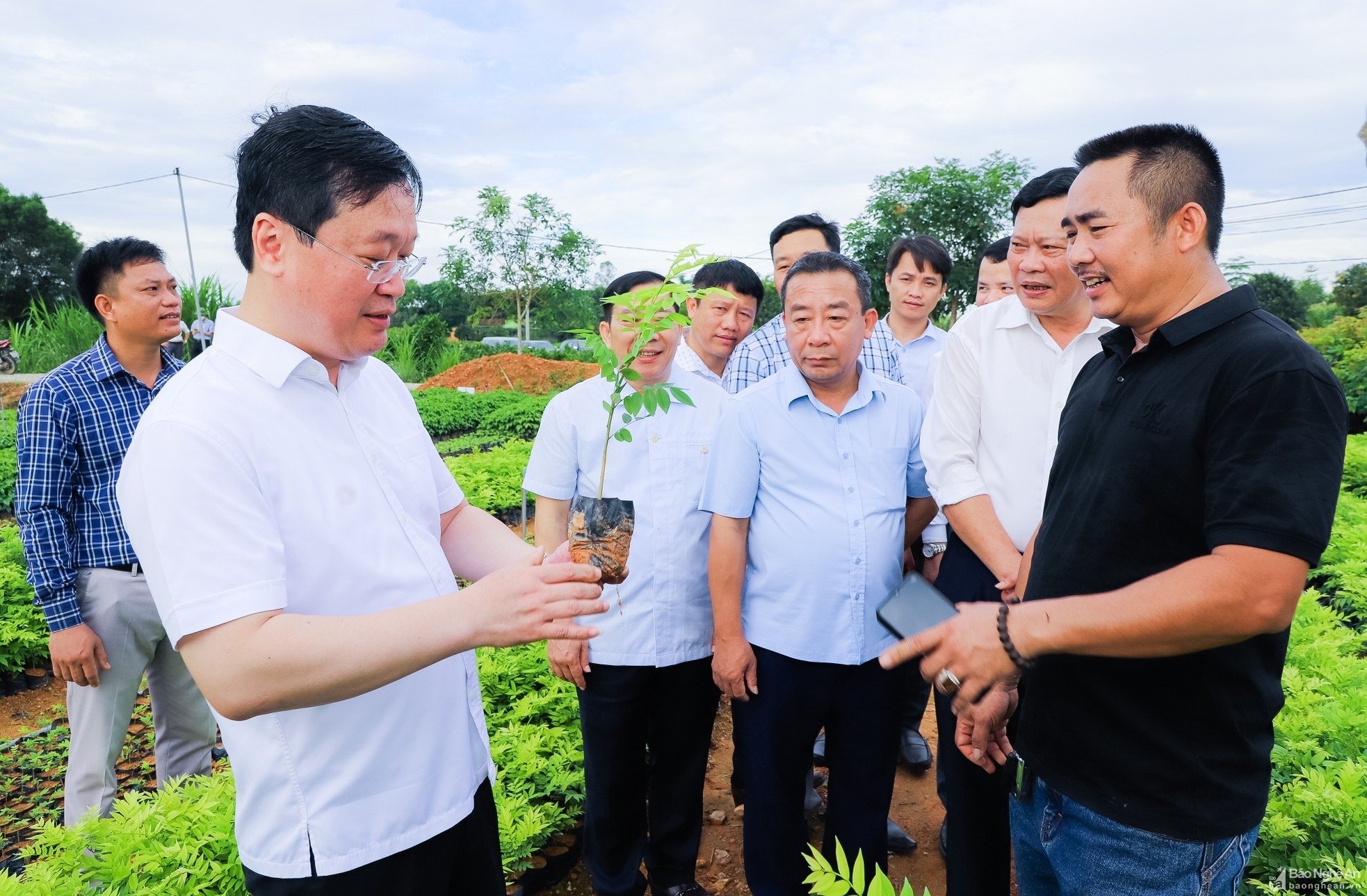 Huyện Tân Kỳ (Nghệ An) - 60 năm vẻ vang, đổi mới và phát triển - Ảnh 1.