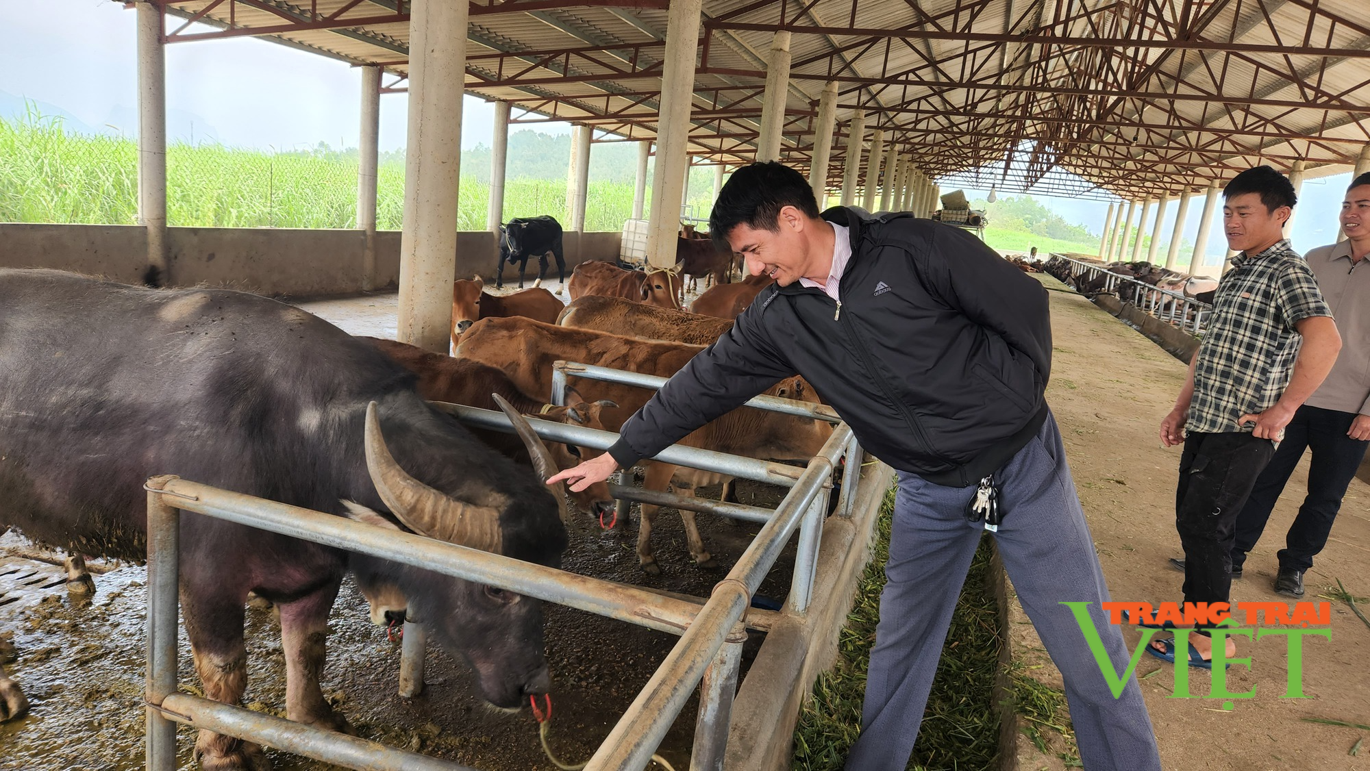 Mường Than phát triển sản xuất nông nghiệp hàng hóa tập trung - Ảnh 2. Mường Than phát triển sản xuất nông nghiệp hàng hóa tập trung - Ảnh 2.