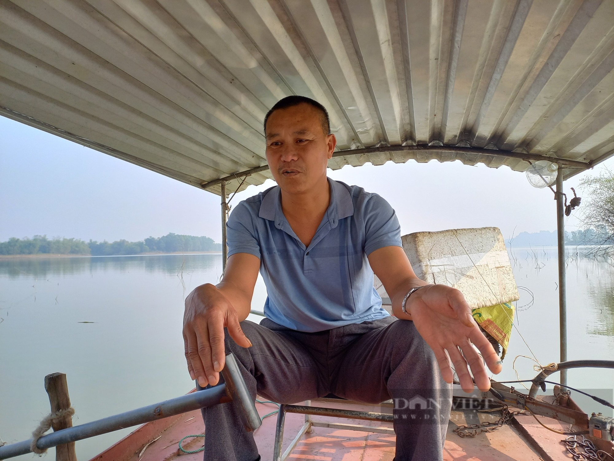 Những nguyên nhân có thể dẫn đến cái chết của rùa mai mềm ở hồ Đồng Mô? - Ảnh 2.