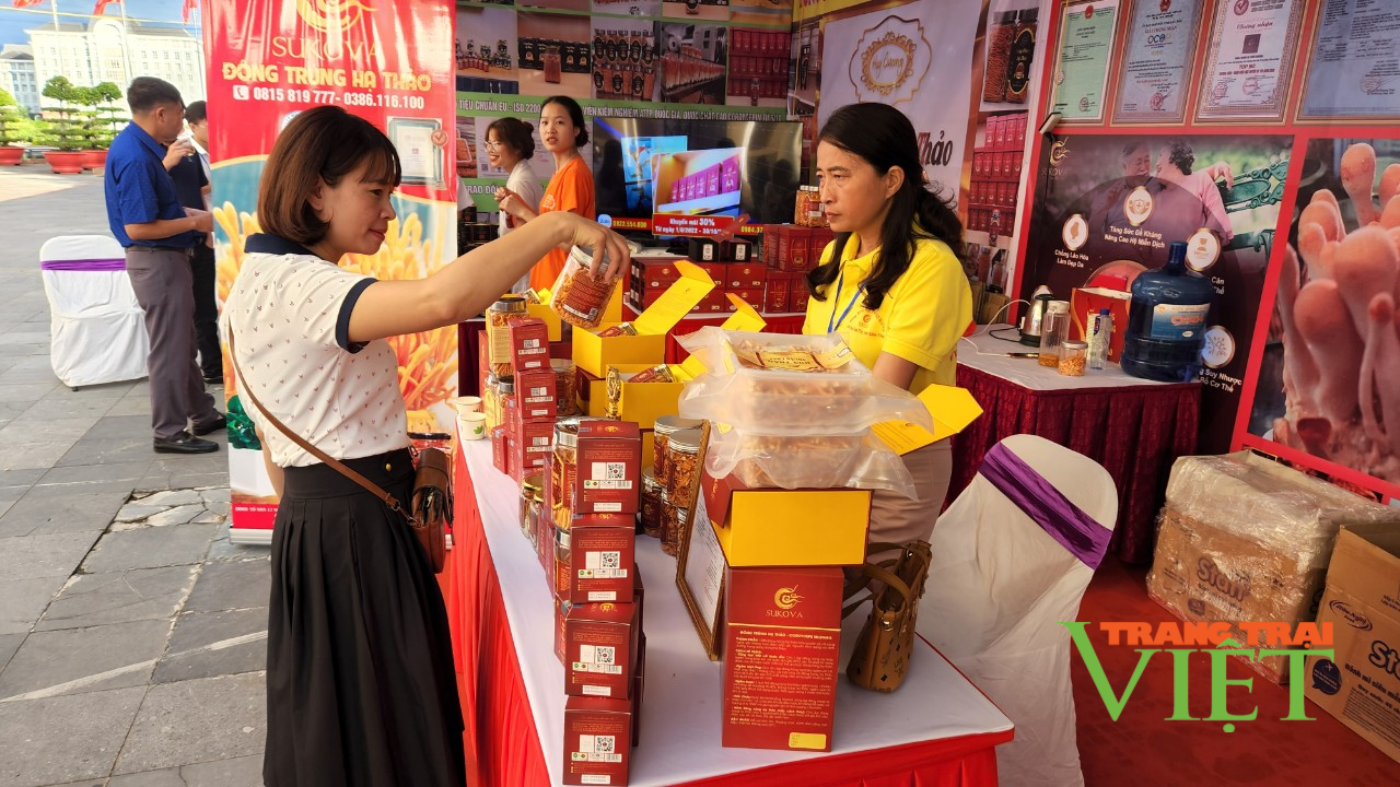 Lai Châu nâng chất sản phẩm OCOP - Ảnh 1. Lai Châu nâng chất sản phẩm OCOP - Ảnh 1.