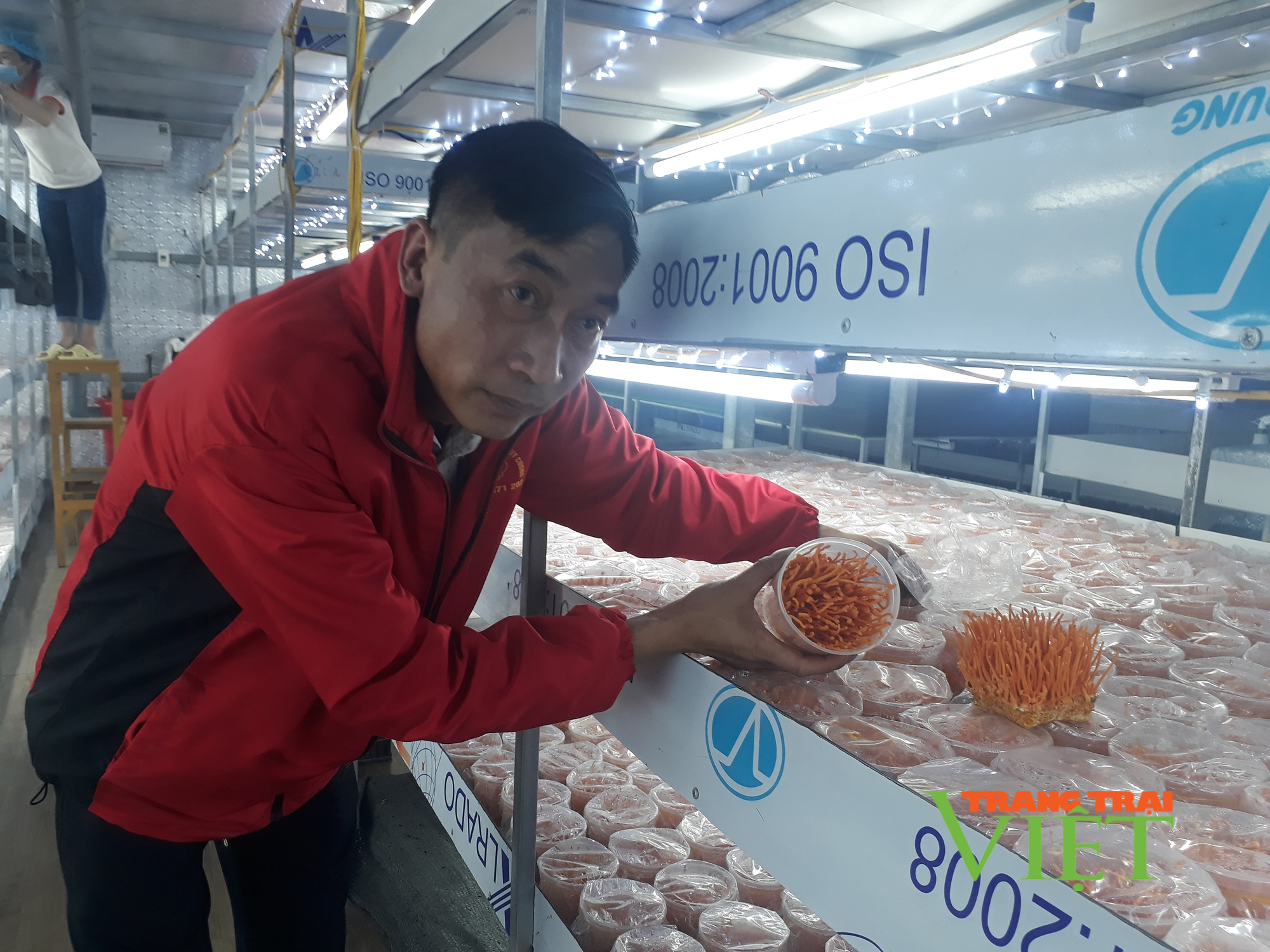 Lai Châu nâng chất sản phẩm OCOP - Ảnh 2. Lai Châu nâng chất sản phẩm OCOP - Ảnh 2.