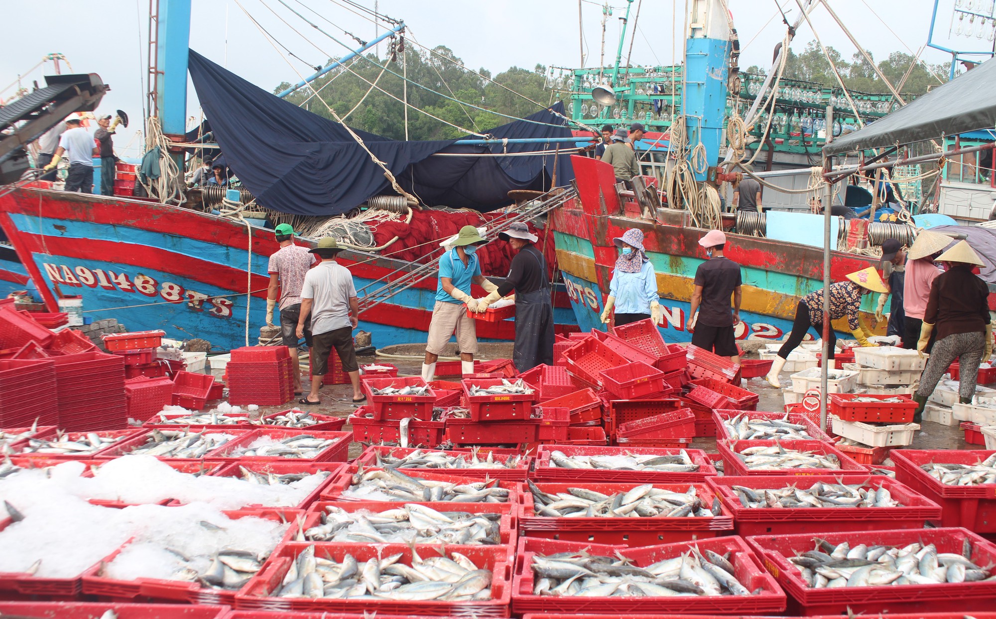 Tìm giải pháp nâng cao hiệu quả khai thác, giá trị chế biến thủy sản trong giai đoạn mới - Ảnh 2.