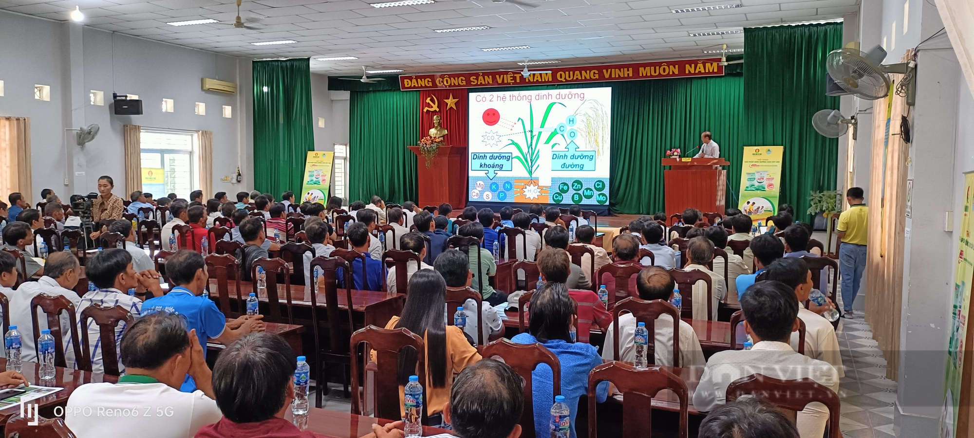 Niềm tin mới cho cây lúa An Giang - Ảnh 1.