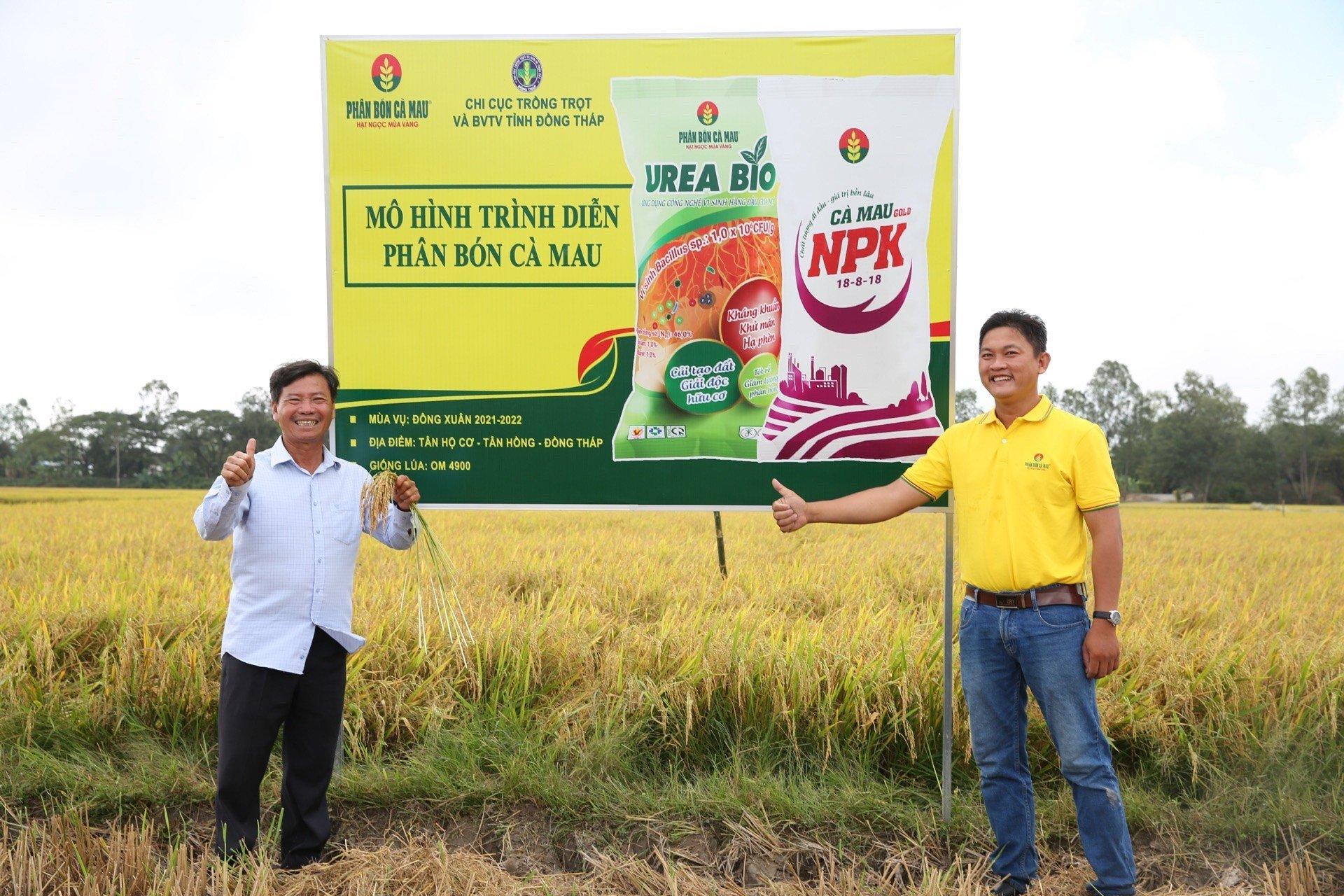 Niềm tin mới cho cây lúa An Giang - Ảnh 4.