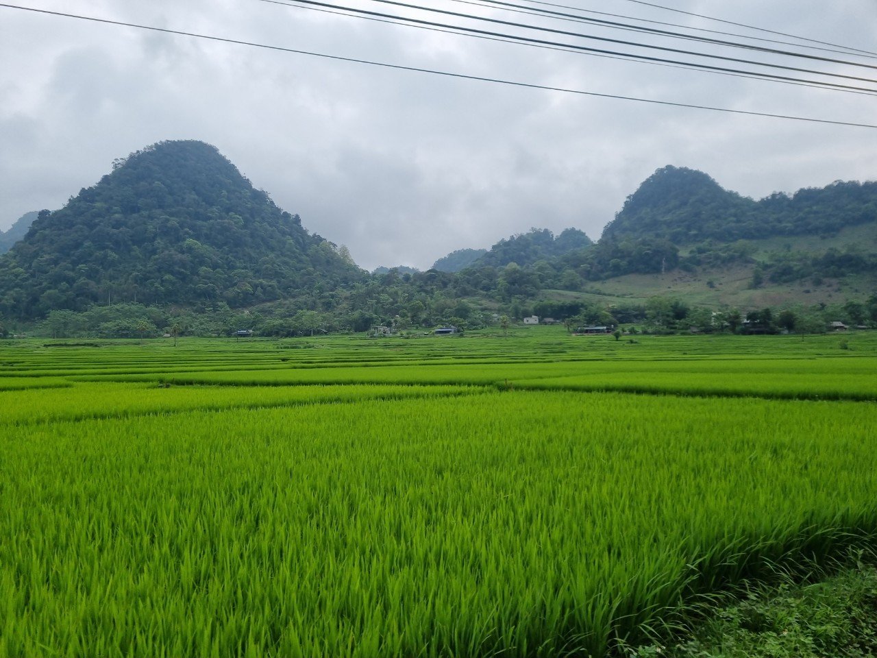 Đất nông nghiệp có tách thửa được không? - Ảnh 1.