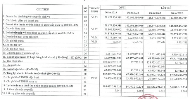 Cảng Đình Vũ (DVP) dự kiến lãi quý II chỉ lãi bằng 57% so với quý liền kề - Ảnh 1.